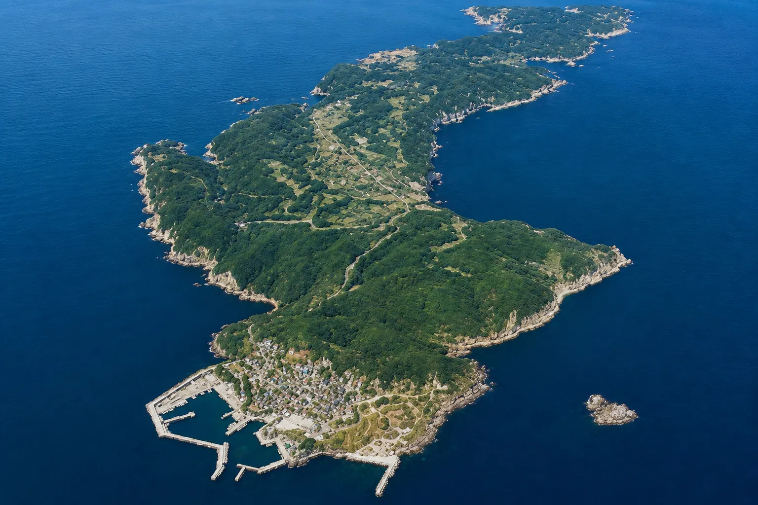 ヤブツバキ生産地・加唐島での採油風景