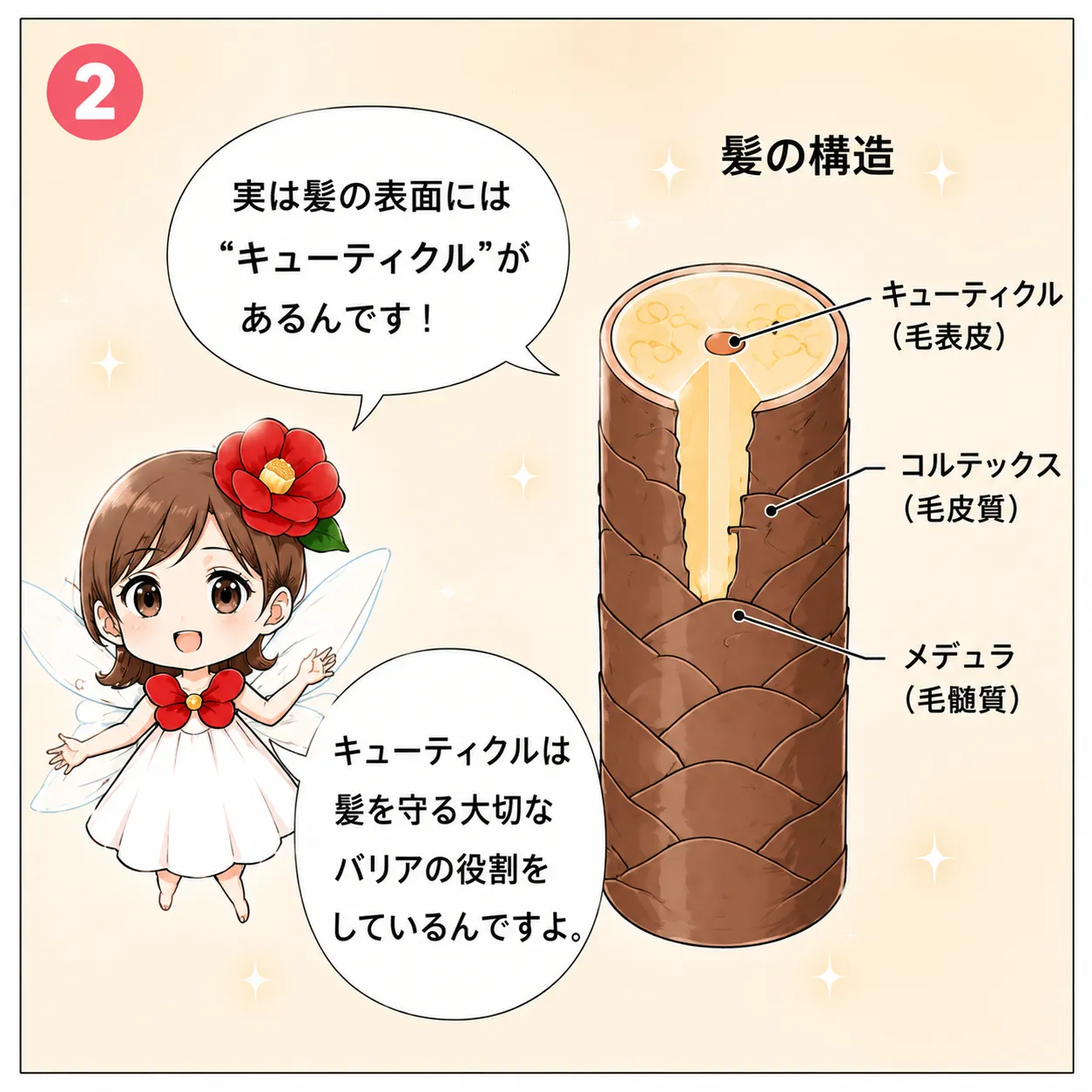 ツバキ油で髪が変わる！さらさら美髪への第一歩 2コマ目