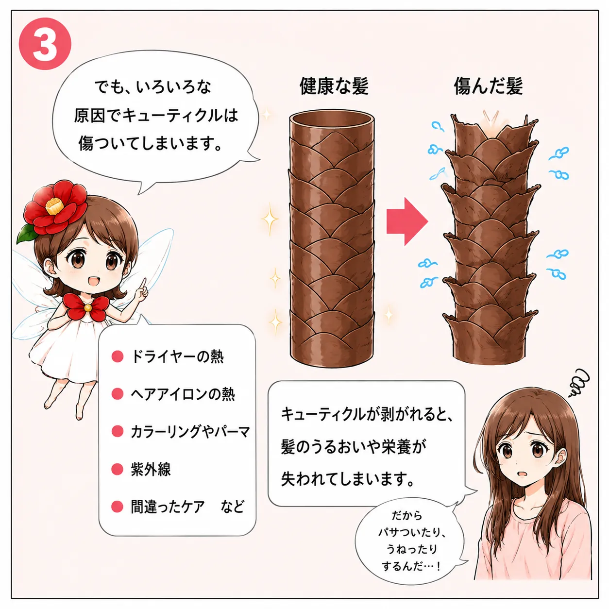 ツバキ油で髪が変わる！さらさら美髪への第一歩 3コマ目