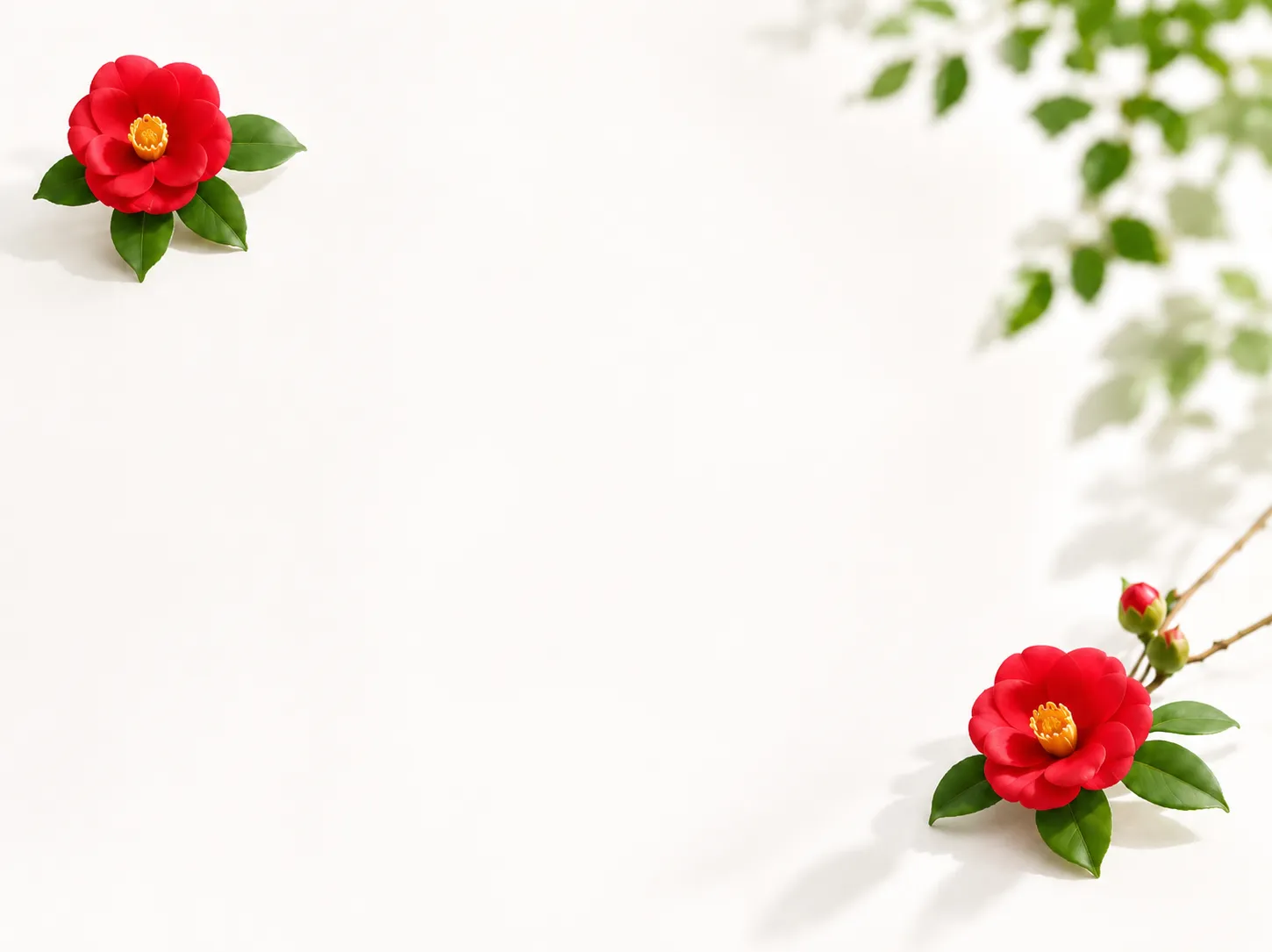椿の花と若葉 ― 椿油は髪に悪い？という疑問